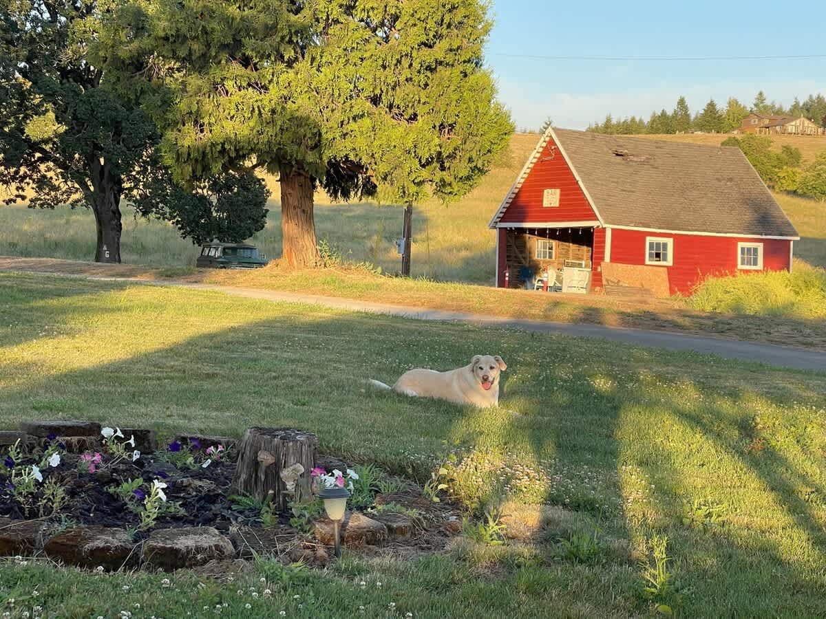 Barn Owl Hill - Historic Farmhouse Vineyard Views — photo 7