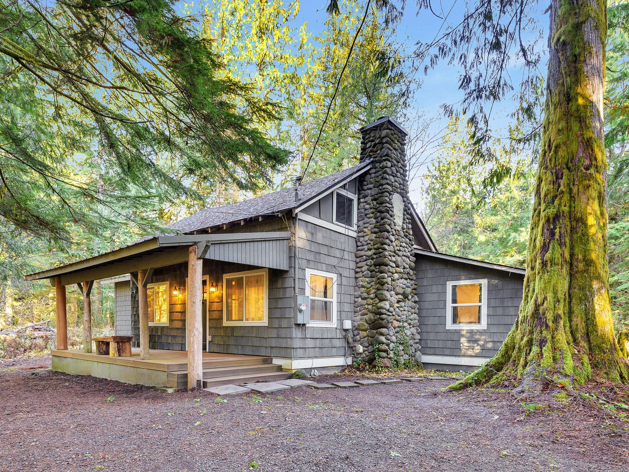 Lolo Bear Cabin: Pet-Friendly Mt. Hood Retreat — photo 1