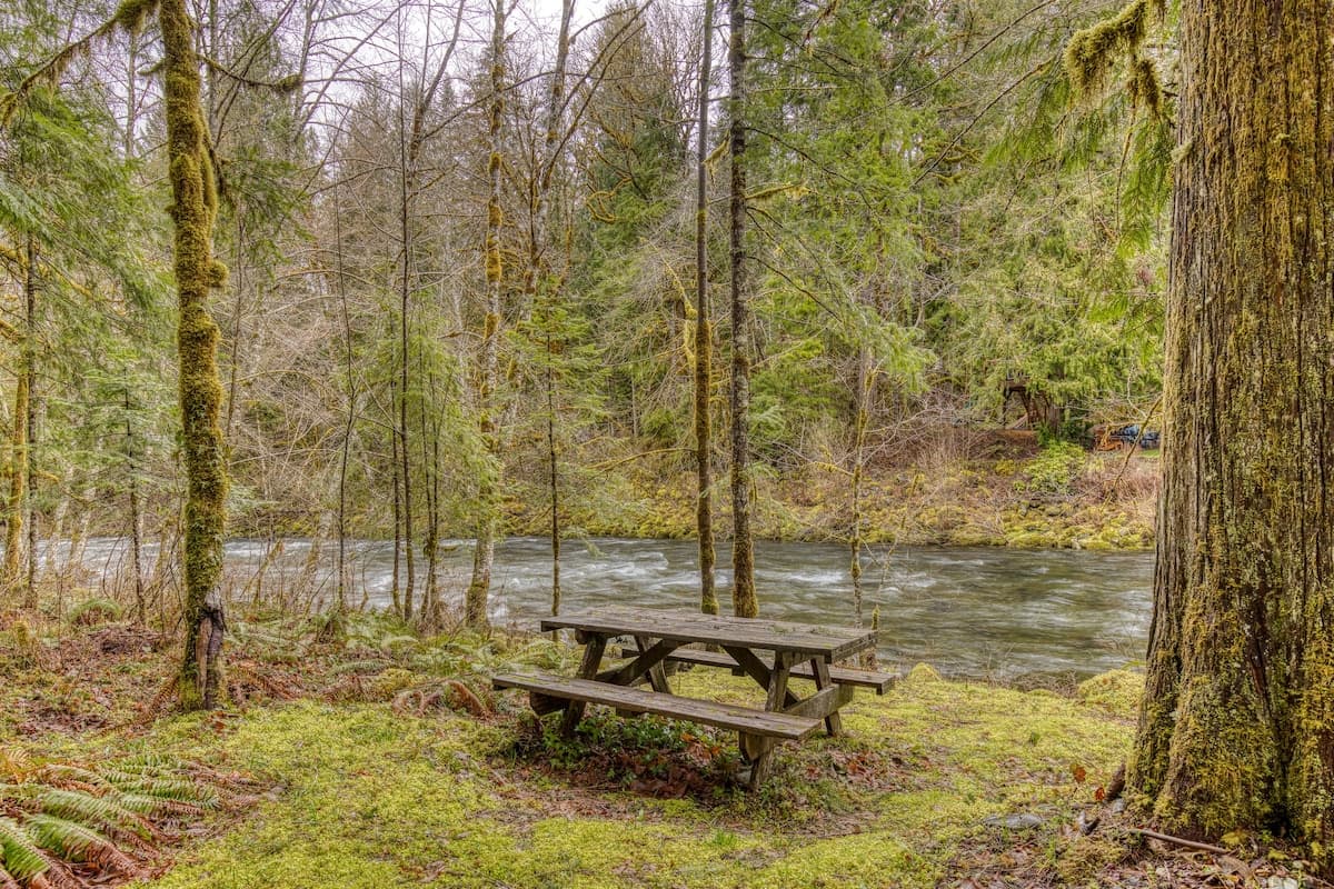 Thompson Cabin - Salmon River Cabin & Fire Pit — photo 3
