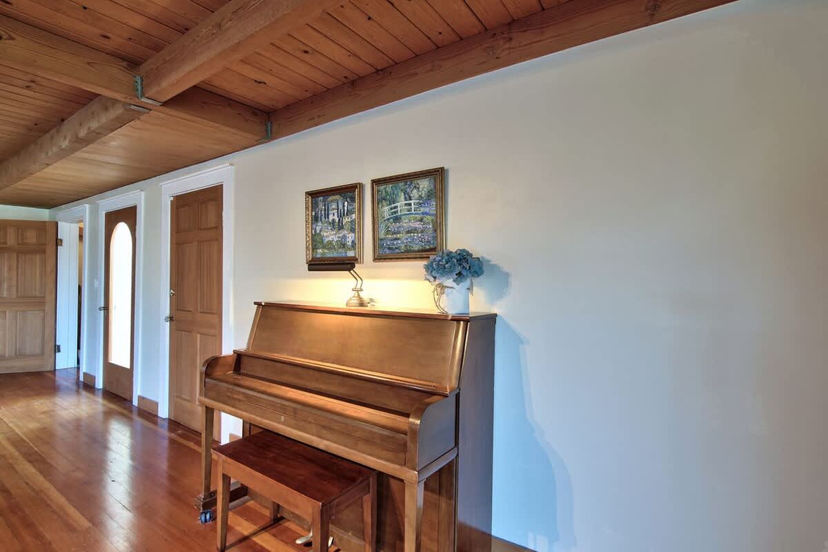 Vintage Terrace Spacious Historic Getaway Hot Tub — photo 4