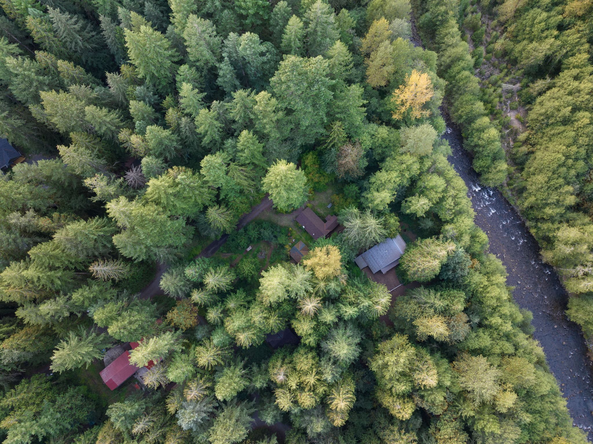 Whispering Pines: Hot Tub Retreat w Sports Court — photo 4