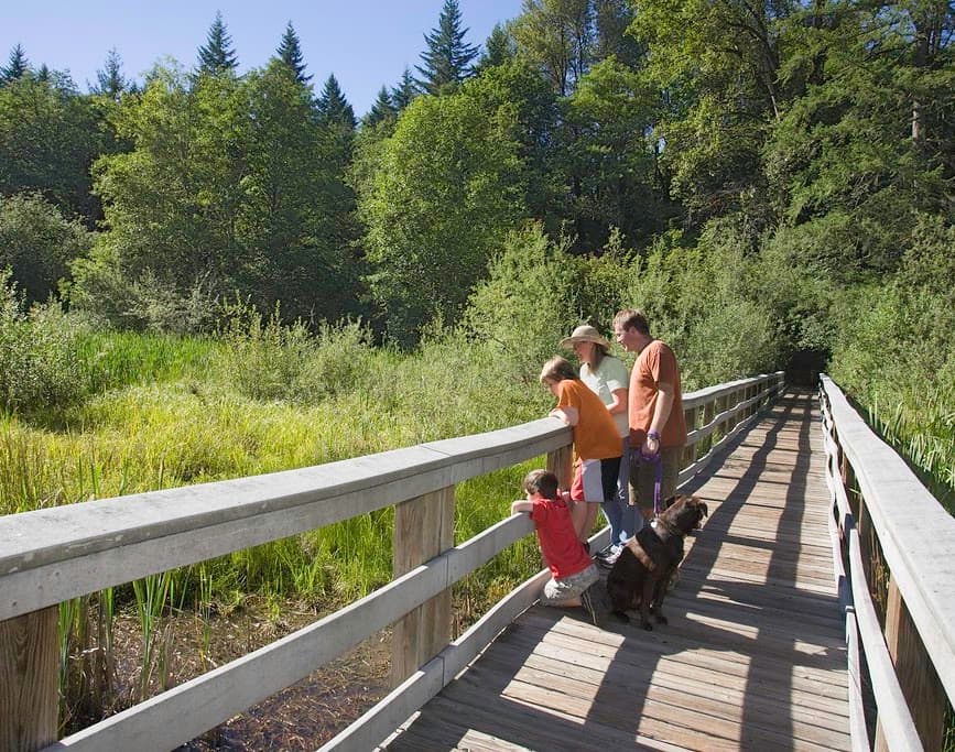 Family-Friendly Activities on Mt. Hood